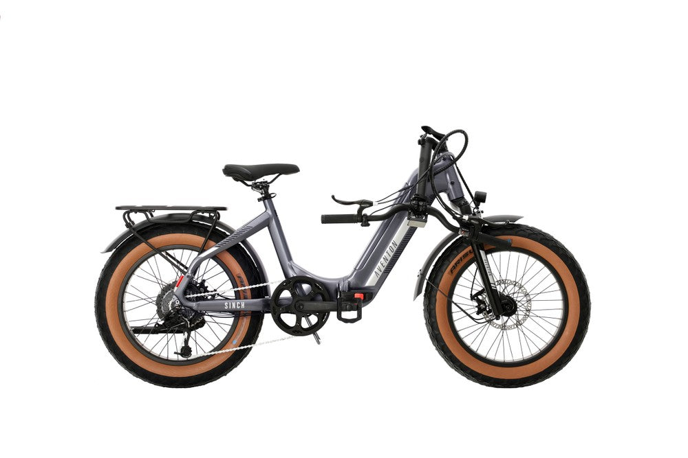 Electric Bike Rental