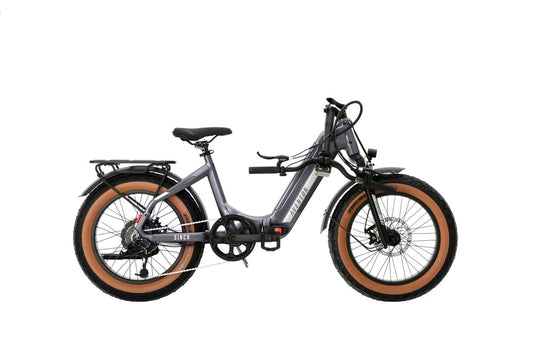 Electric Bike Rental